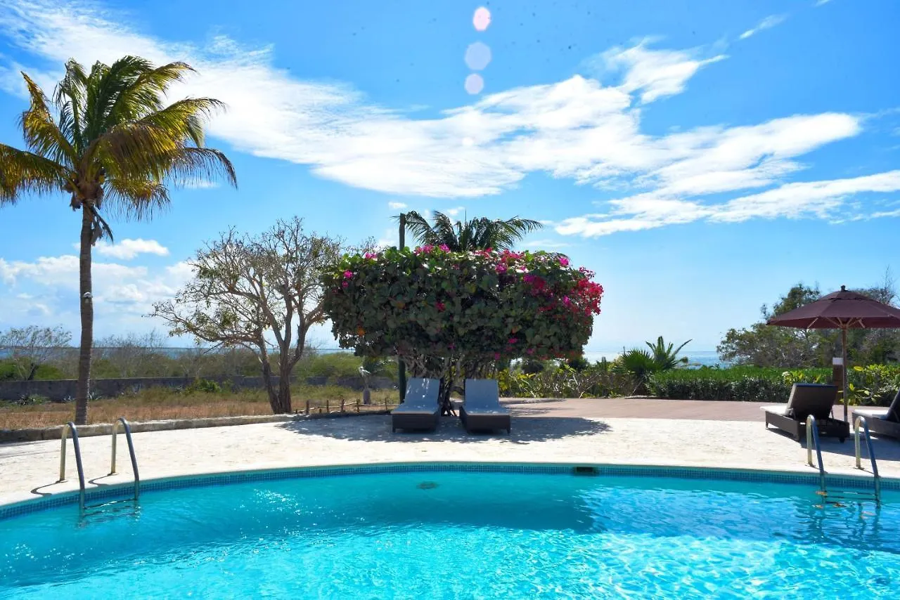 El Morro Eco Adventure Hotel contacts